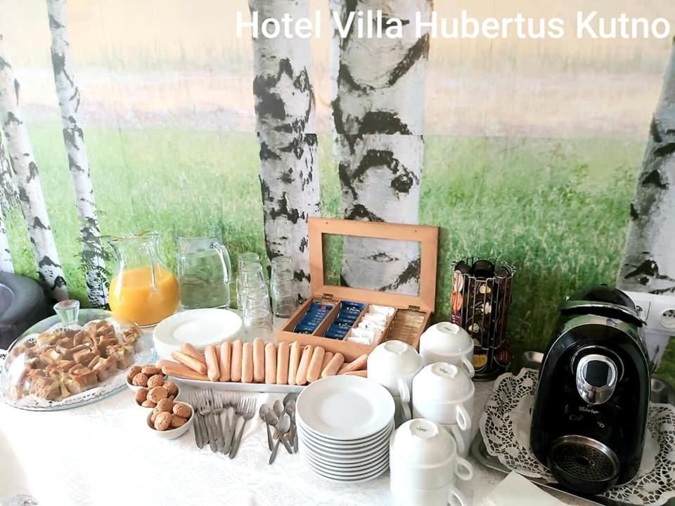 Отель Hotel Villa Hubertus Kutno Кутно-11